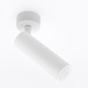SHINY 60 CEILING LIGHT